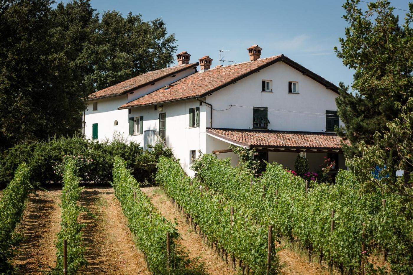 B&B Il Poggio Di Gavi Exterior foto